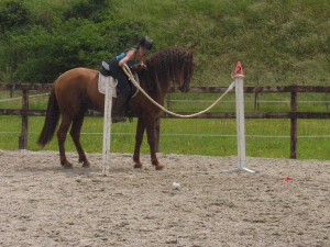 Caroline Goossens & Gayo V, Capg-Horses