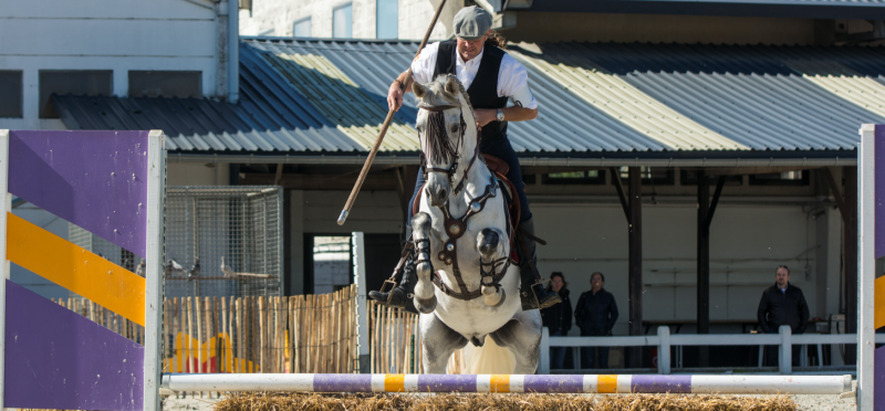 Ronny Belmans & Hispano, Photo: Helga DB Photography