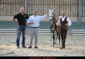 Jubilosa LIII, Yeguada La Ciervina, CM Flémalle 2009