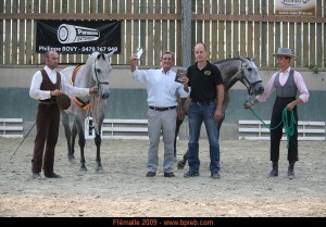 Limonera LXVII & Libertina IV, Yeguada La Ciervina, CM Flémalle 2009