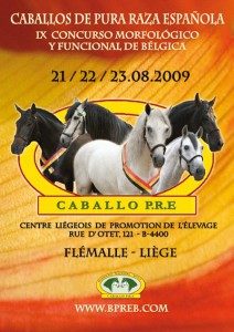 CM Flémalle 2009 affiche