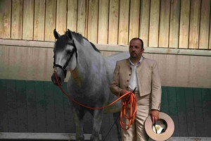 Bolero CXLIX, Yeguada Los Zahones, CM Flémalle 2007