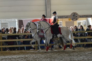 Magaly Devos &amp; Katy van Cauwenberghs, FHE 2016