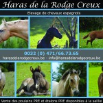 Haras de la Rodge Creux