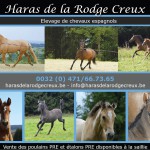 Haras de la Rodge Creux