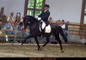 Luis-Seni, Antwerp Andalusians, CM Kapellen 2007