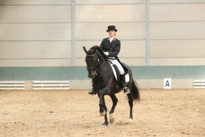 Luis Seni, Antwerp Andalusians, CM Flémalle 2008