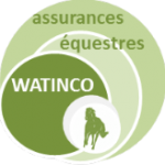 Watinco logo