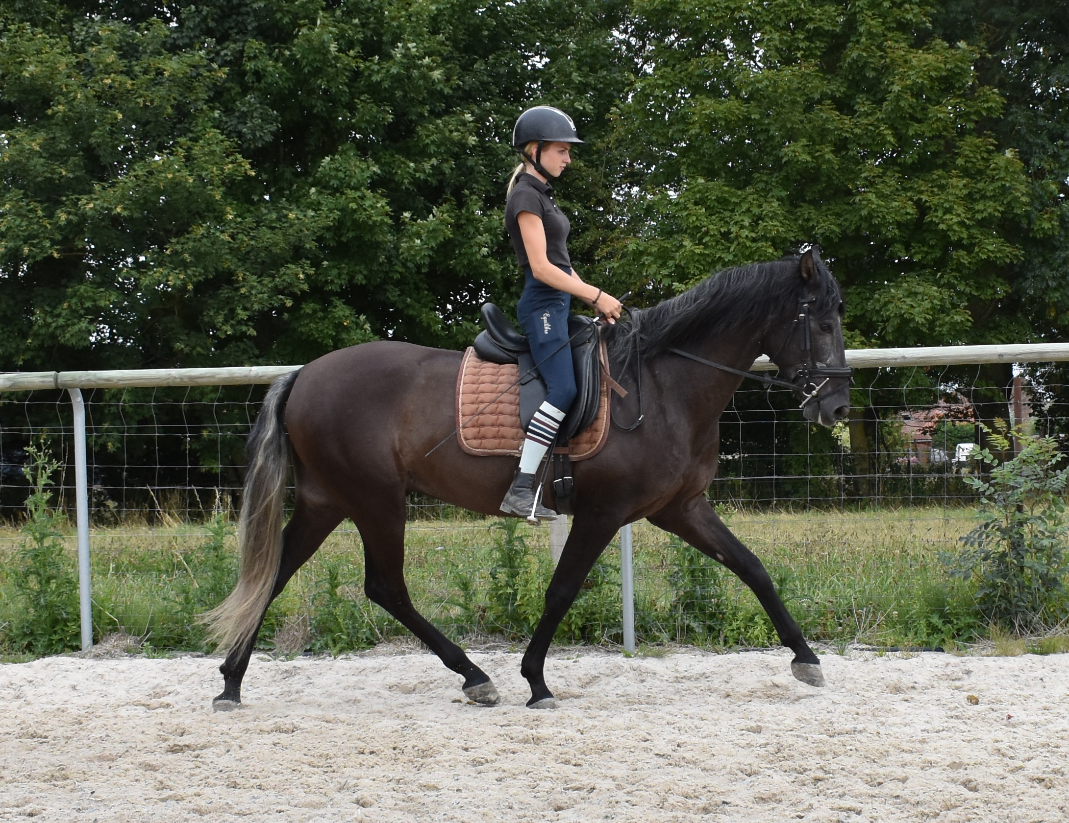 Invicto XXX