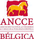 ANCCE-Bélgica Logo