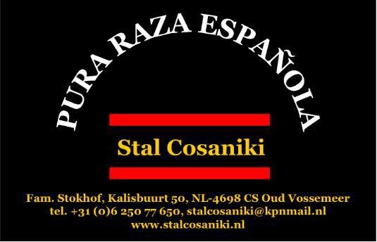 Stal Cosaniki